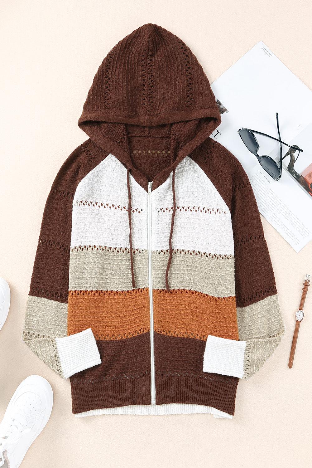 Color Block Zip-Up Openwork Hooded Cardigan - Cardigan